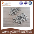 Tungsten Carbide Saw Tips Jx5 for Recycle Wood